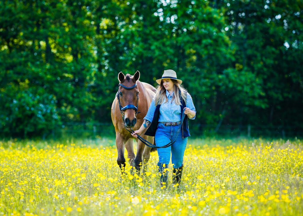 Horse Photography Glasgow | Horse Photoshoots Across Scotland