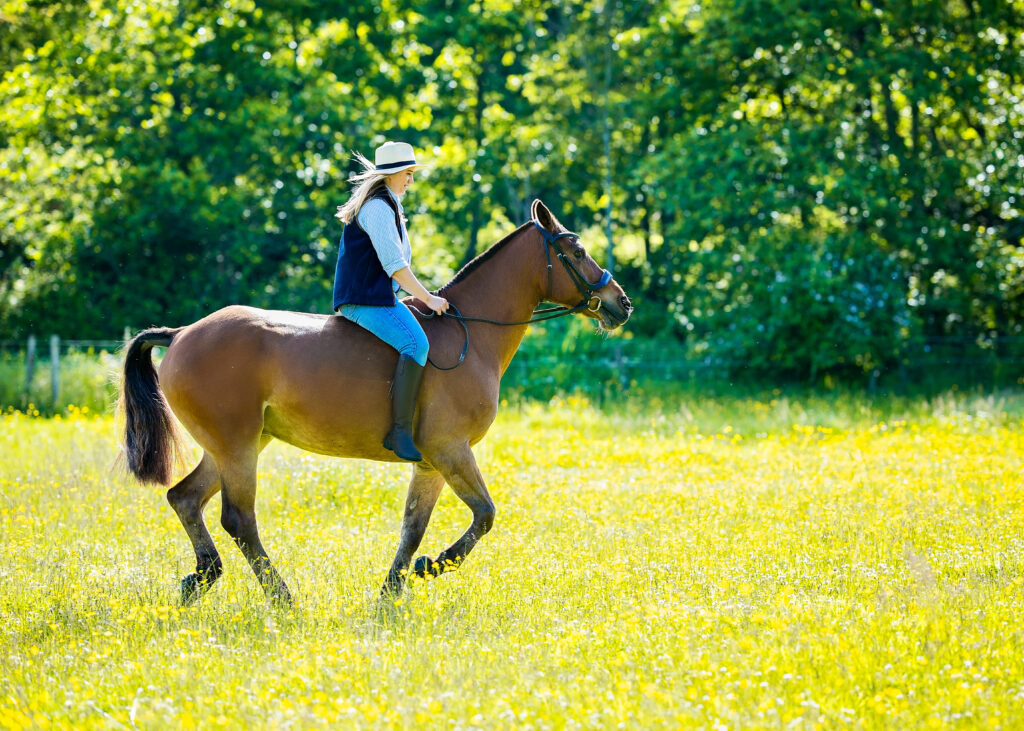horse rider riding on a horse during a photoshoot in Glasgow
