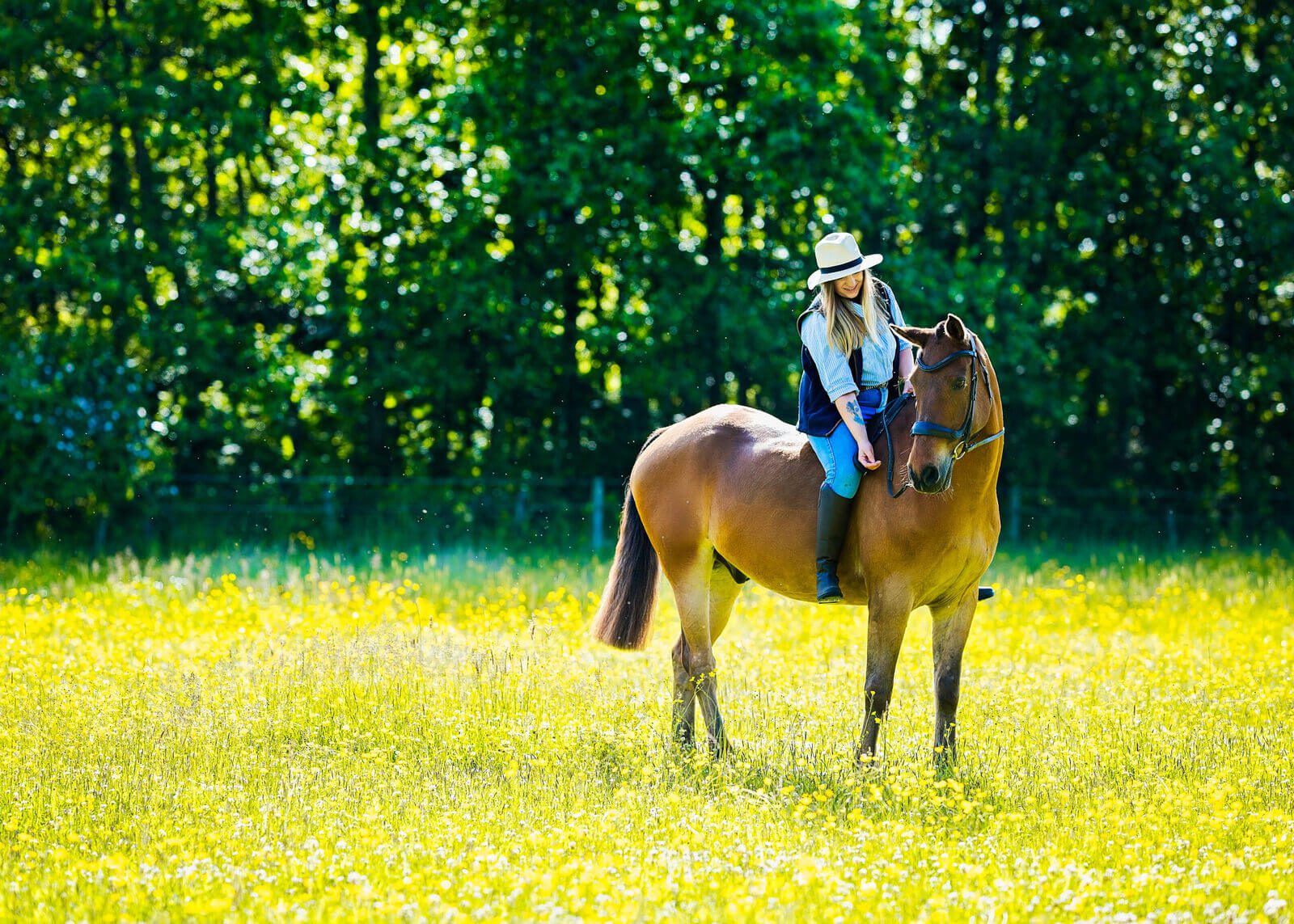 Bareback horse riding portrait in a Scottish buttercup meadow Rider in a straw hat sitting bareback on a bay horse in a sunlit buttercup meadow in Scotland